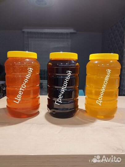 Мед гречишный 2023