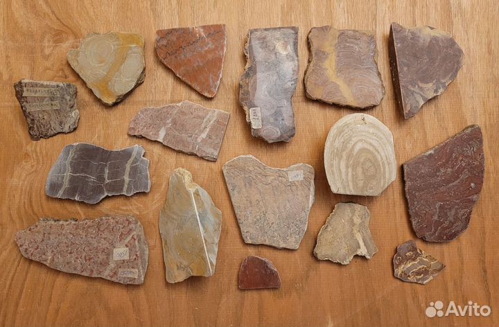 Строматолиты коллекция