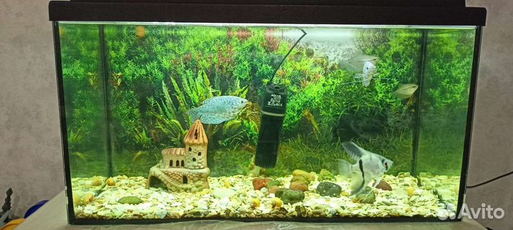 Аквариум 70 литров, с подсветкой