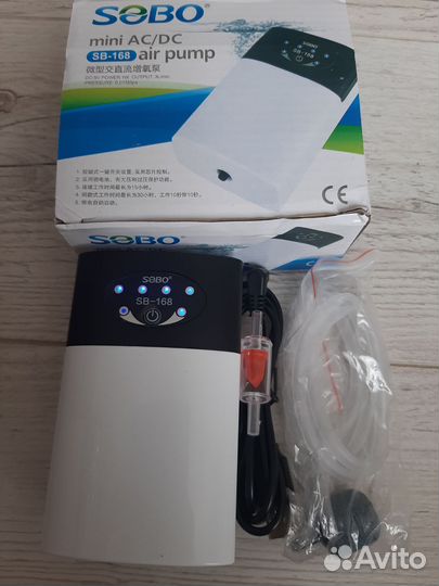 Бирюзовая Акара и оборудование