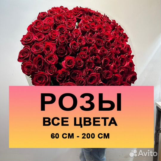 Розы, 25 роз, 51 роза букет с доставкой