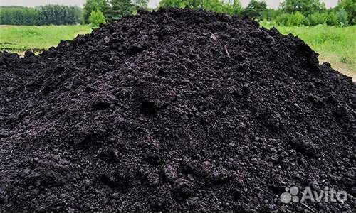 Торф болотный. Верховой и низинный