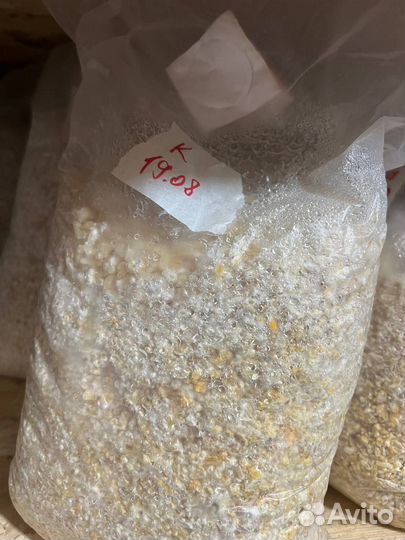 Сушеные грибы