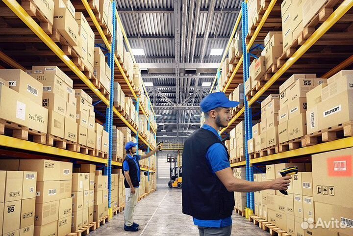 Простая работа в ночь. Кормим. Берем всех. Сборщик