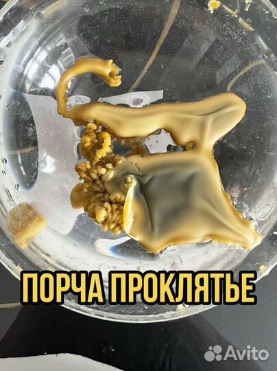 Гадание. Денежные Ритуалы. Привороты