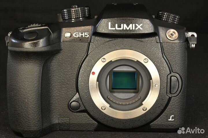 Panasonic GH5 body