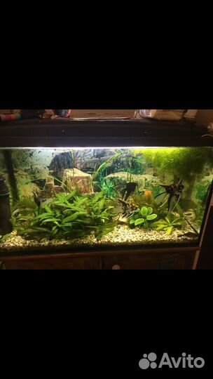Аквариум 120 литров с тумбой