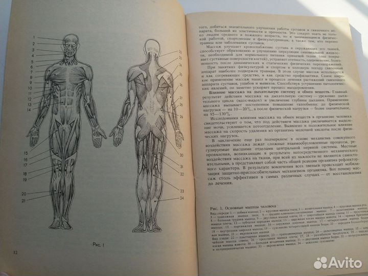 Массаж в борьбе с недугами (А.А.Бирюков)