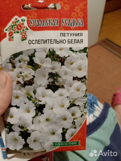 Семена