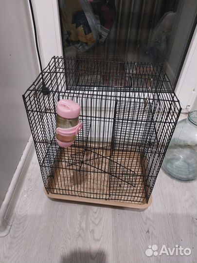 Клетка для грызунов бу