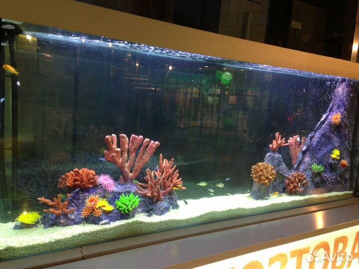 Обслуживание (чистка) аквариумов