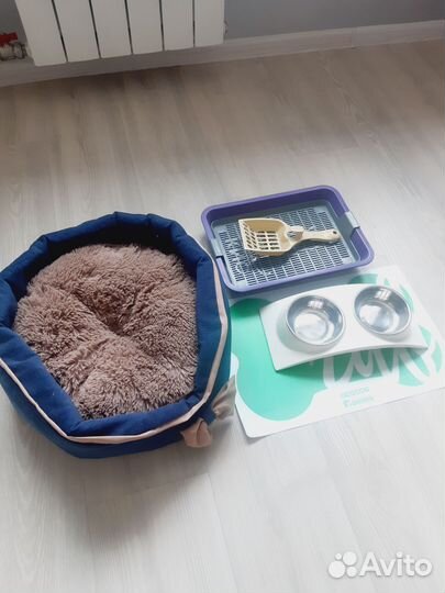 Набор для щенка