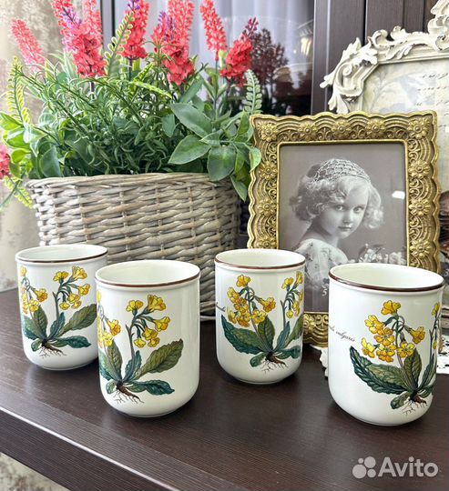 Бокалы Villeroy& Boch серия Botanika