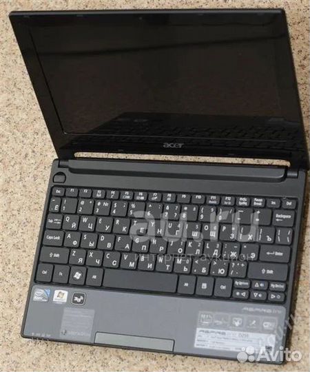 Acer