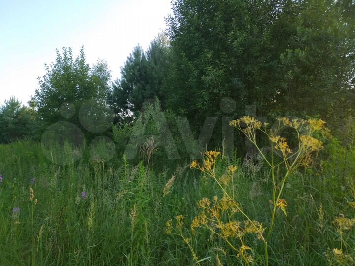 Участок 19,4 сот. (СНТ, ДНП)