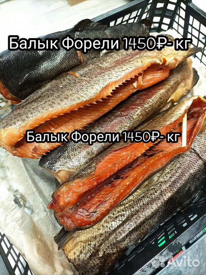 Хребты Форели холодного копчения