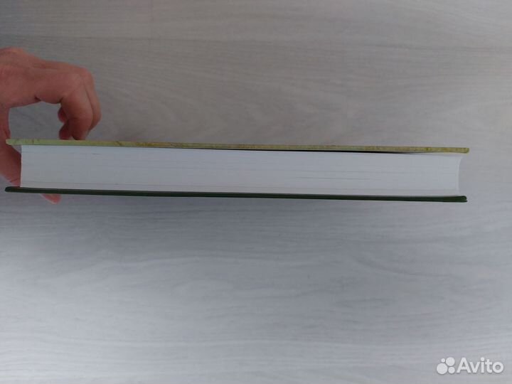 Основы учебного академического рисунка Ли Н.Г