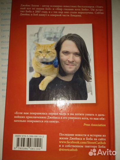 Новые книги про кошек
