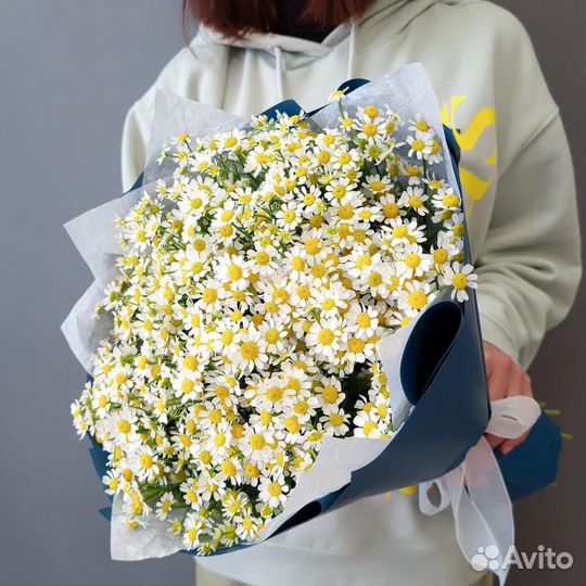 Ромашки. Букеты. Цветы с Доставкой