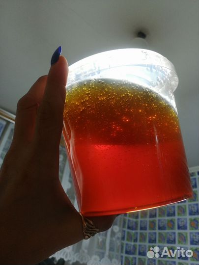 Мед гречишный 2024