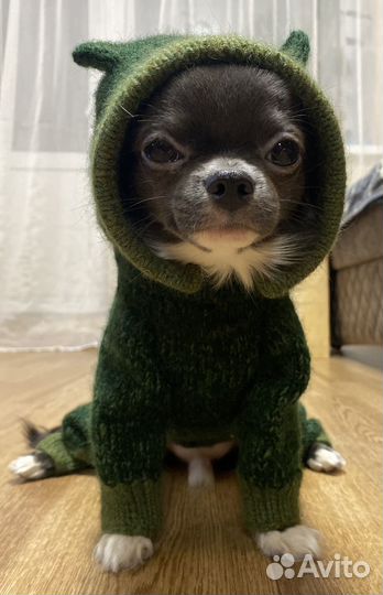 Зимний комбинезон новый