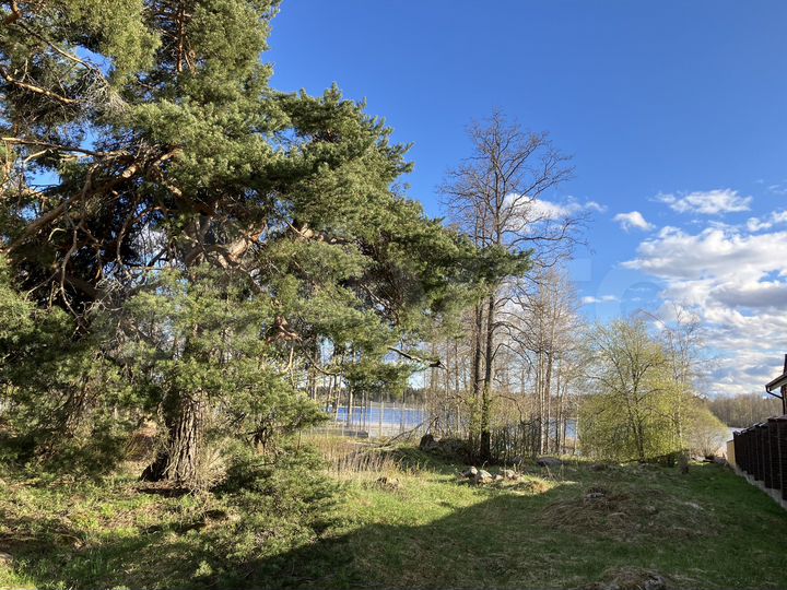 Участок 15 сот. (СНТ, ДНП)