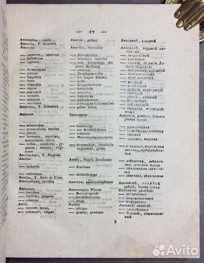 Амбодик-Максимович. Ботанический Словарь 1804 г