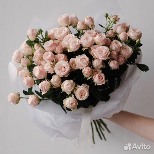 101 роза 51 роза Цветы