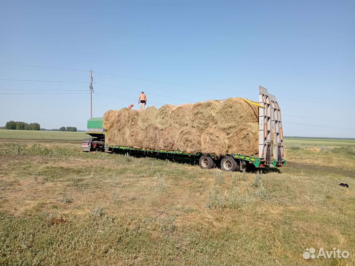 Сено в рулонах