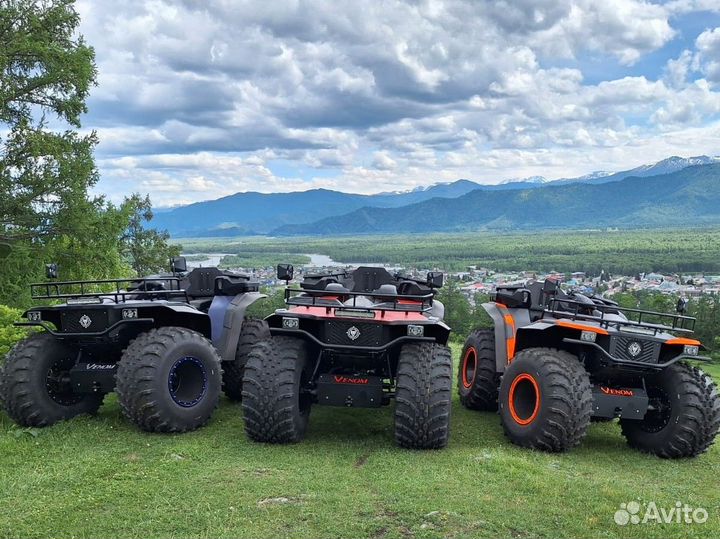 Аренда квадроцикла