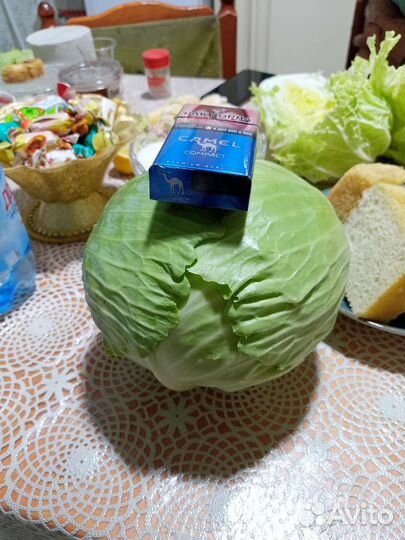 Капуста, овощи