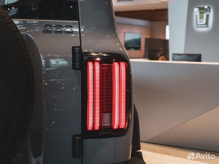 Tank 300 2.0 AT, 2024