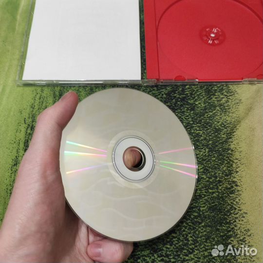 Дракончик Гоша День Спящего Дракона