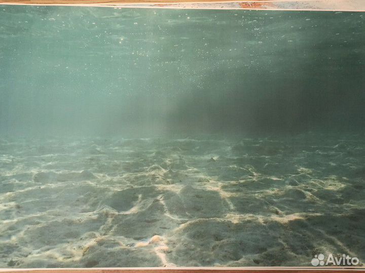 Фон для аквариума