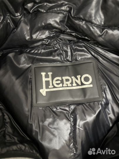 Пховик herno