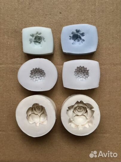 Молды, 13 видов