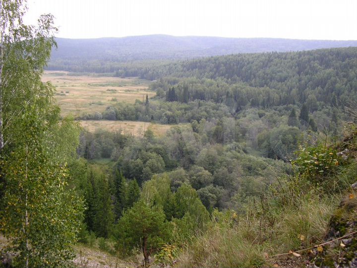 Участок 20 сот. (ИЖС)