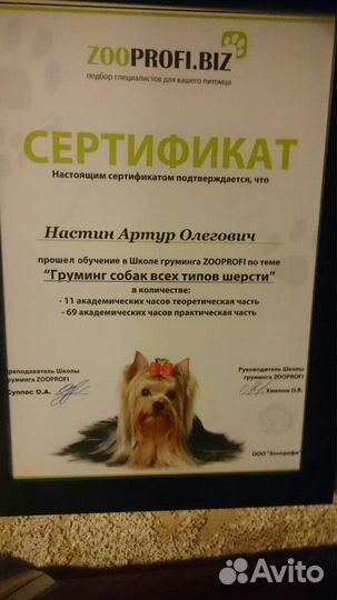 Стрижка собак, кошек и кроликов без наркоза