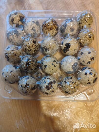 Яйца перепелиные