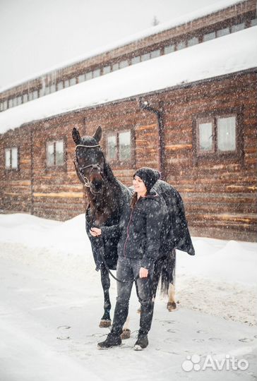 Коновод-берейтор/тренер по конному спорту