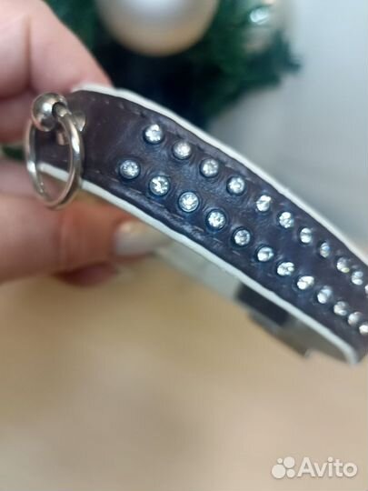 Ошейник для собаки