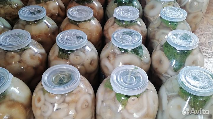 Грибы Грузди Соленые