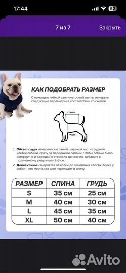 Комбинезон для маленькой собаки