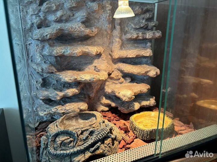 Террариум для рептилии (идеален для эублефара)