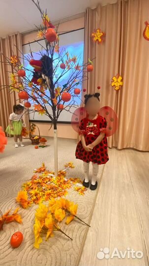 Костюм божьей коровки