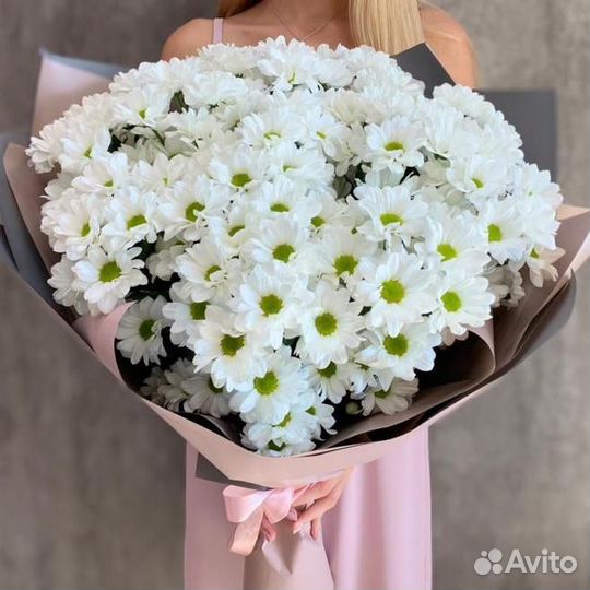 Хризантема купить цветы