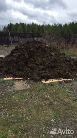 Навоз с доставкой