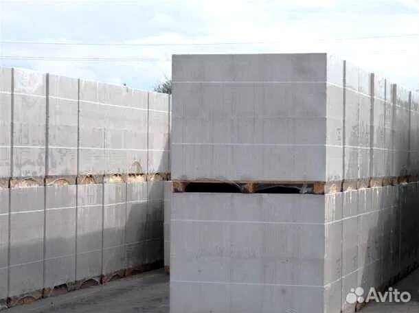 Газоблок 50х250х600