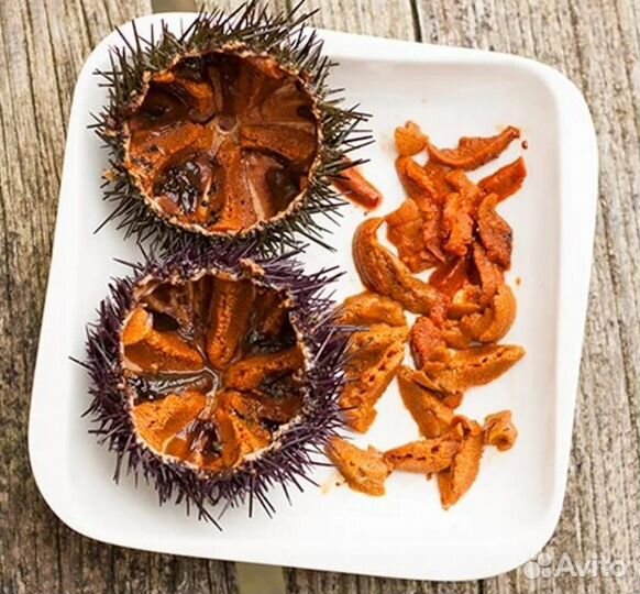 Икра морского ежа