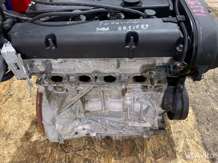 Двигатель Ford Focus shda